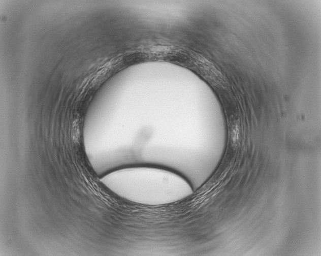 X0000088091204200705111053