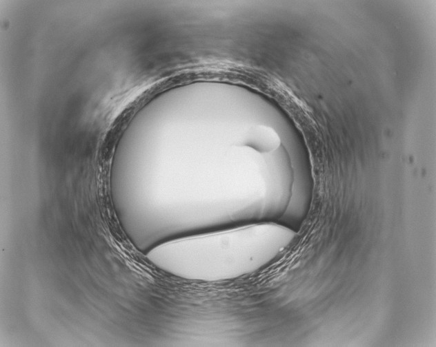 X0000088091208200705111053