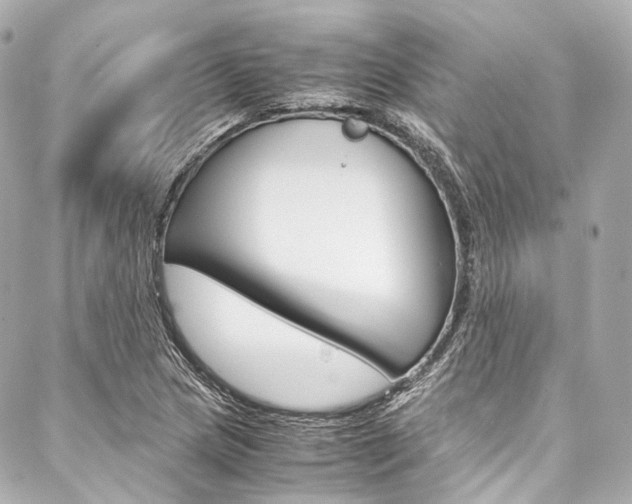 X0000088091217200705111053
