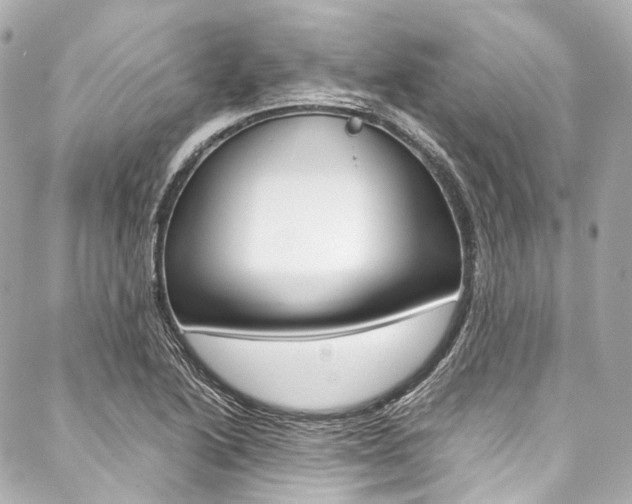X0000088091222200705111054
