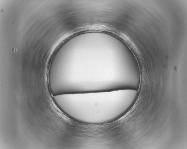 X0000088091232200705111054