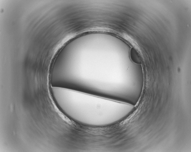 X0000088091237200705111054
