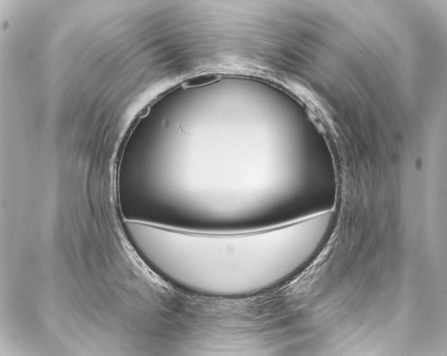 X0000088091238200705111054