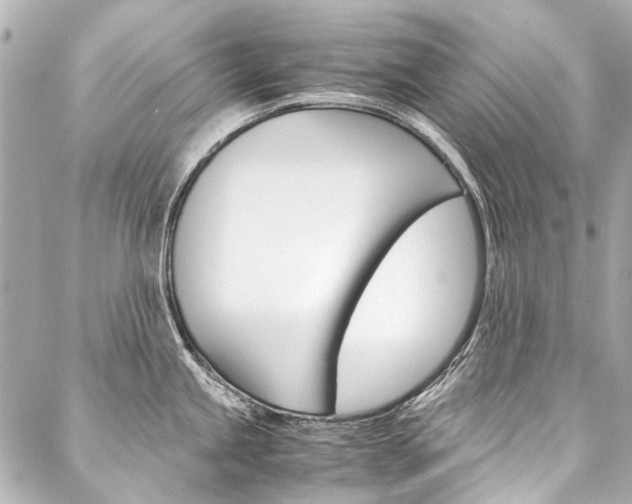 X0000088091245200705111054