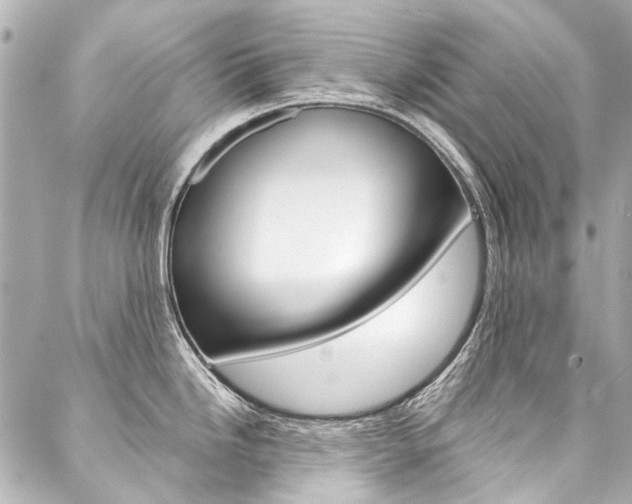 X0000088091246200705111054
