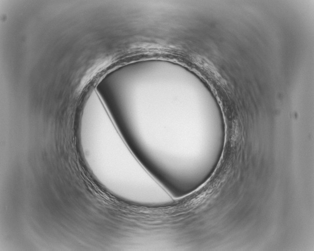 X0000088091261200705111053