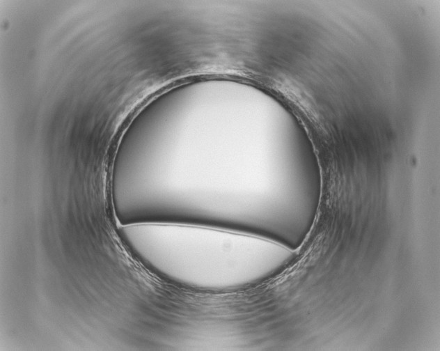 X0000088091268200705111053
