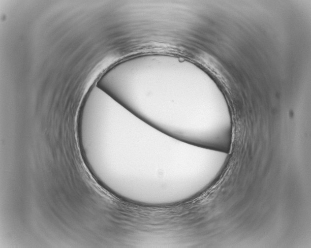 X0000088091283200705111053