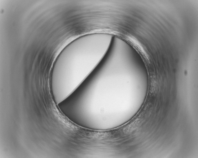 X0000088091284200705111053
