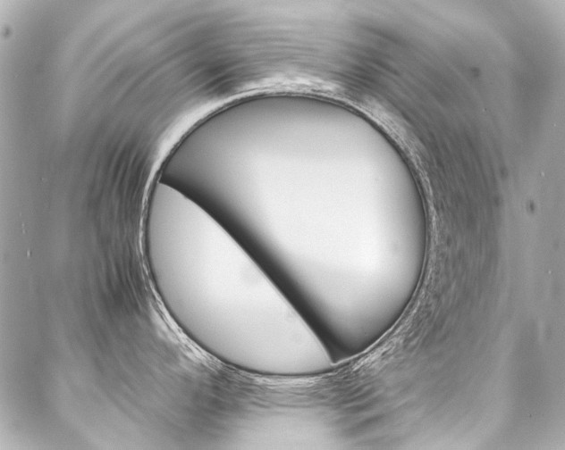 X0000088091296200705111052