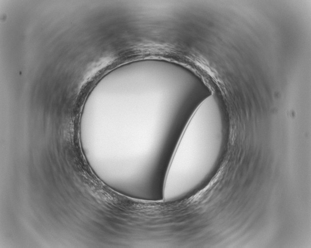 X0000088091309200705111052