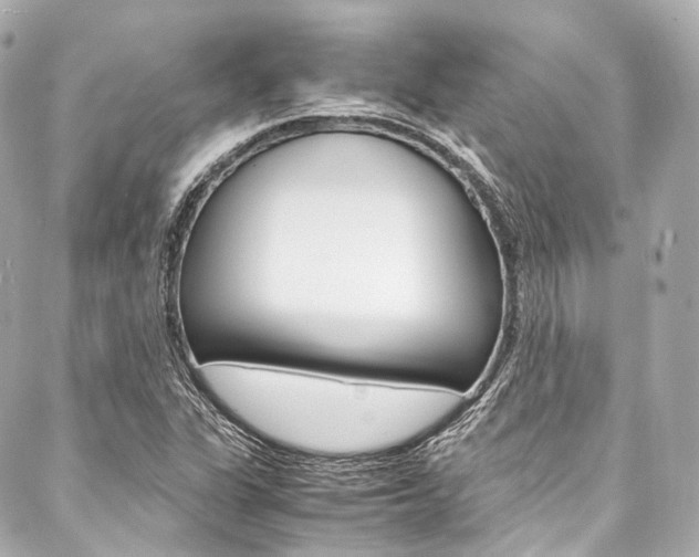 X0000088091311200705111052