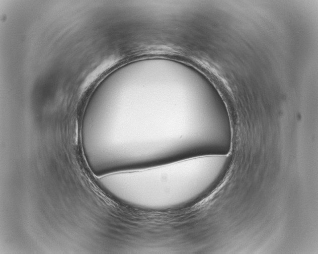X0000088091317200705111052