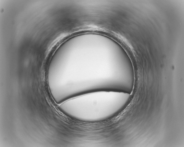 X0000088091318200705111052