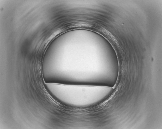 X0000088091321200705111052