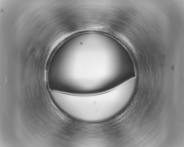 X0000088091324200705111052