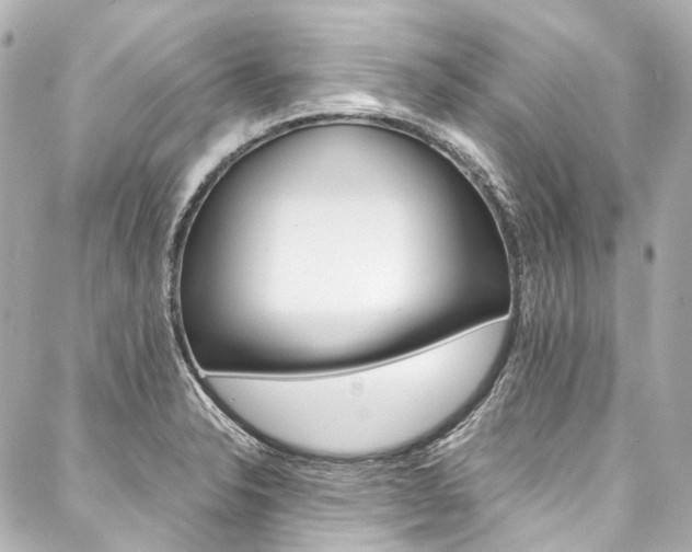 X0000088091326200705111052