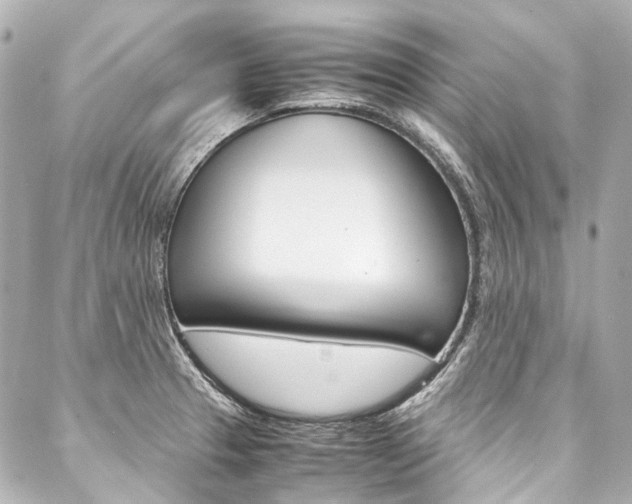 X0000088091329200705111052