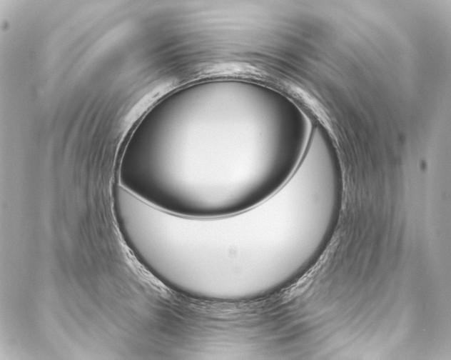 X0000088091330200705111052