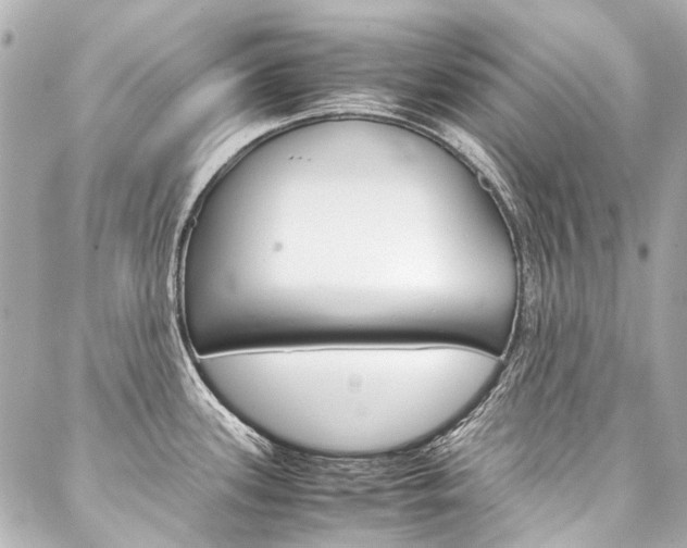 X0000088091339200705111052