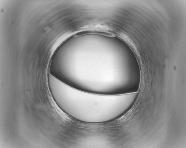 X0000088091344200705111052