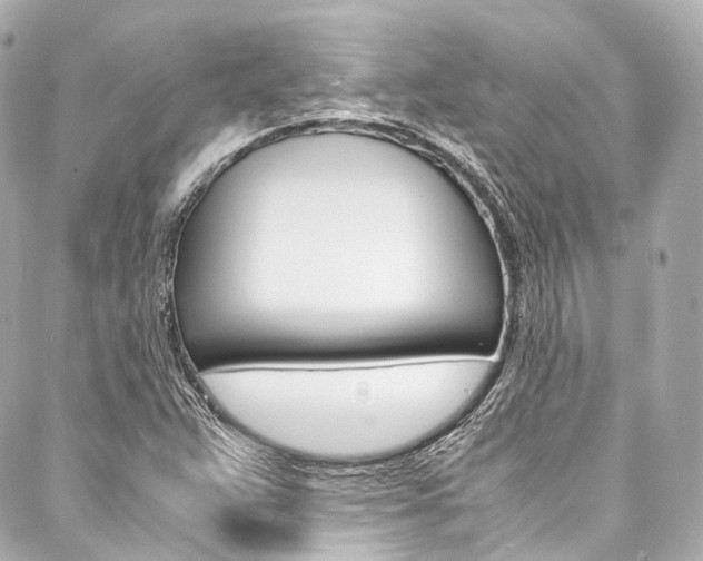 X0000088091359200705111051