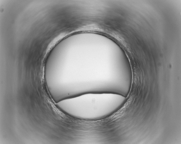 X0000088091366200705111051