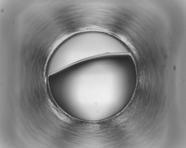 X0000088091372200705111051