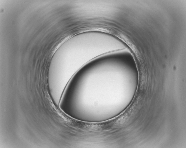 X0000088091377200705111051
