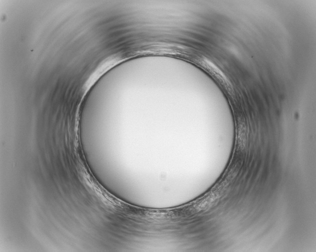 X0000088091378200705111051