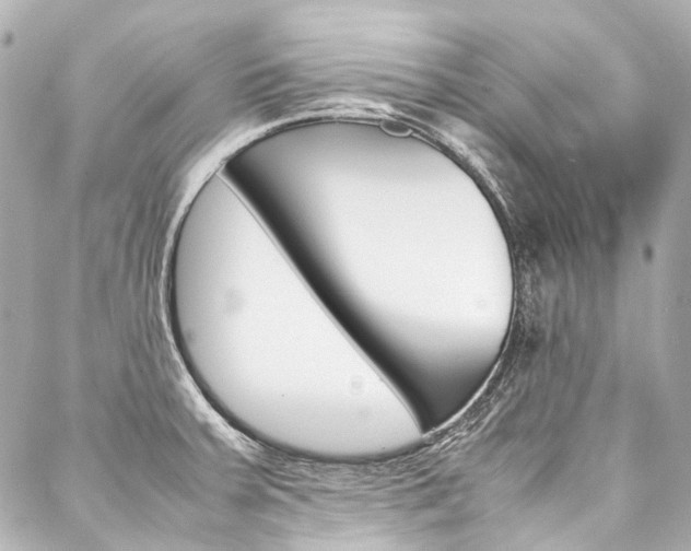X0000088091379200705111051