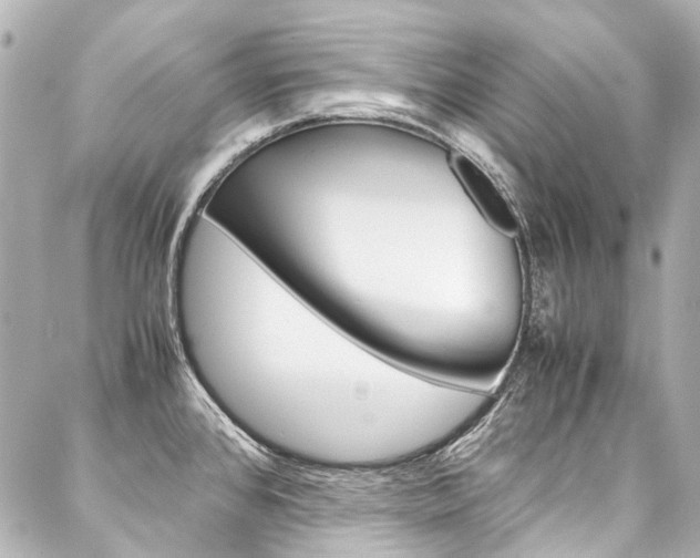 X0000088091384200705111051