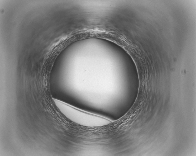 X0000088091398200705111050