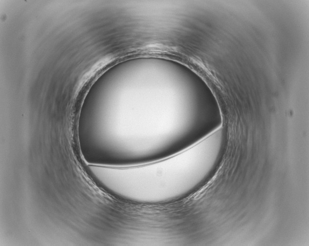X0000088091410200705111050