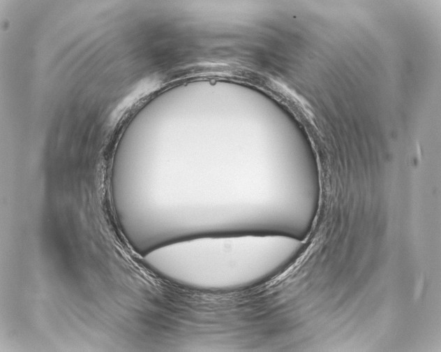 X0000088091411200705111050