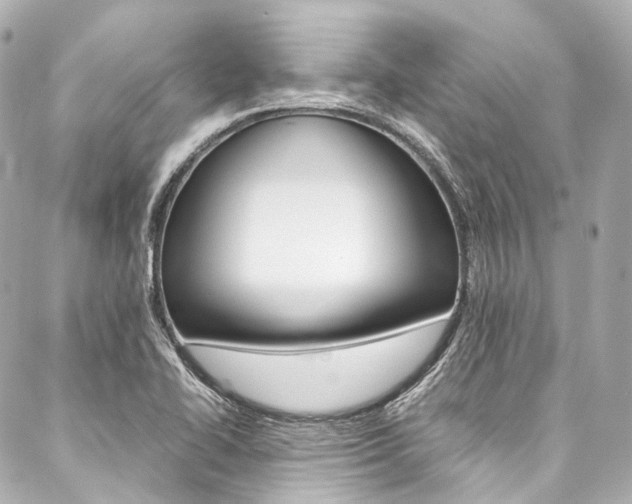X0000088091414200705111050