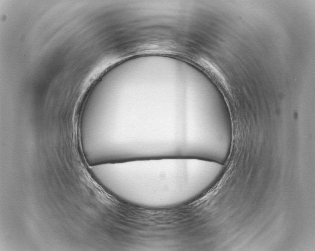 X0000088091419200705111050