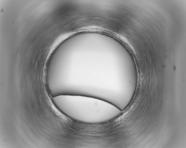 X0000088091421200705111051