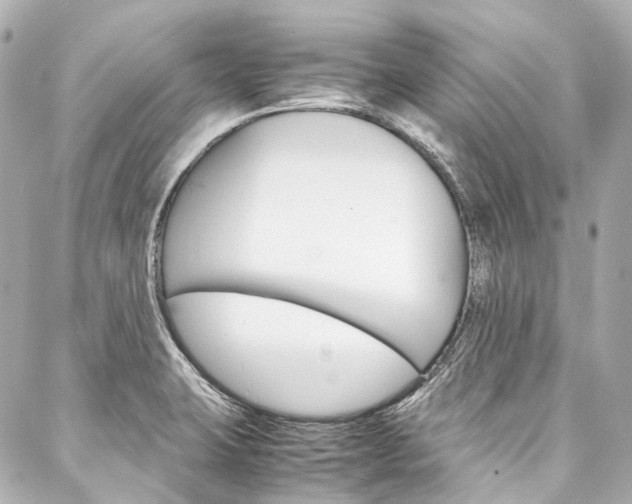 X0000088091423200705111051