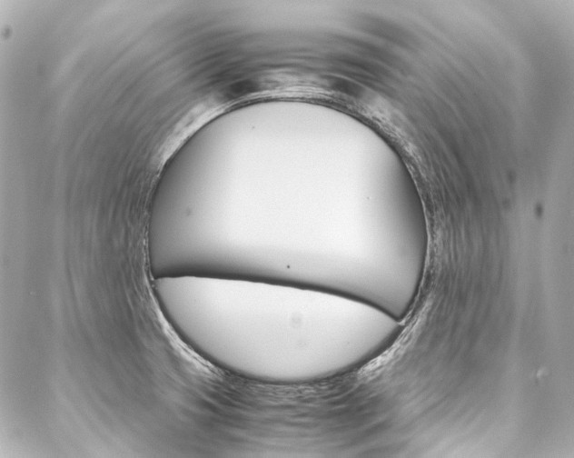 X0000088091425200705111051