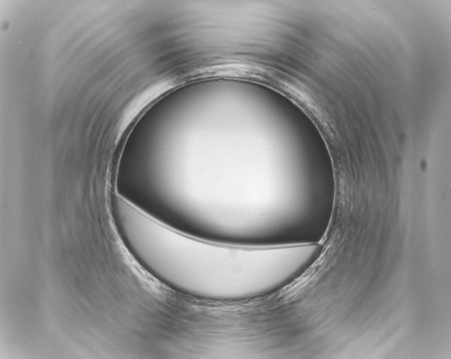 X0000088091426200705111051