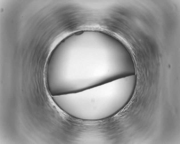 X0000088091440200705111051
