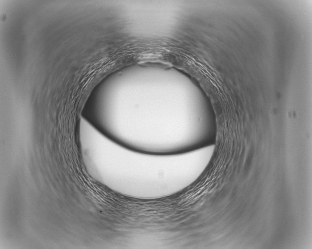 X0000088091441200705111050