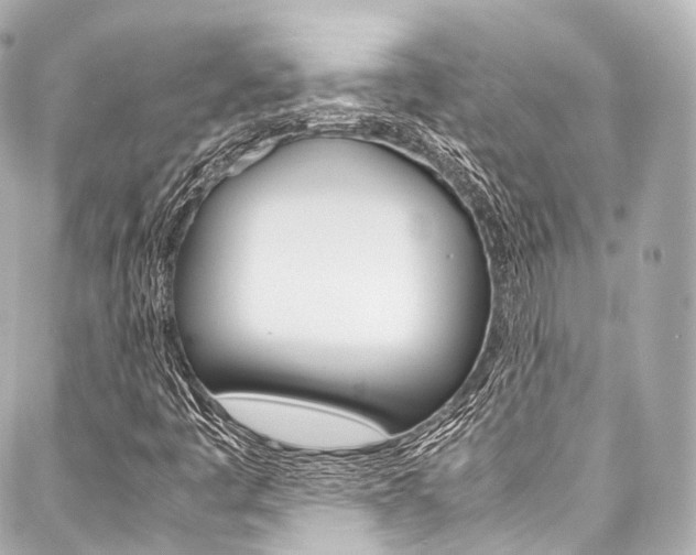 X0000088091445200705111050