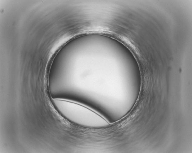 X0000088091469200705111050