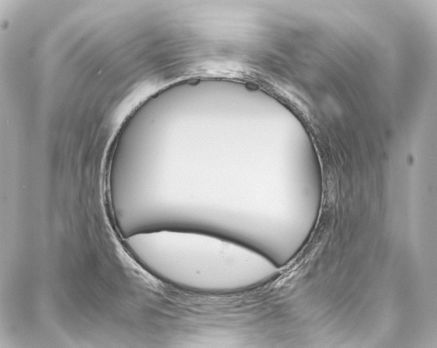 X0000088091471200705111050