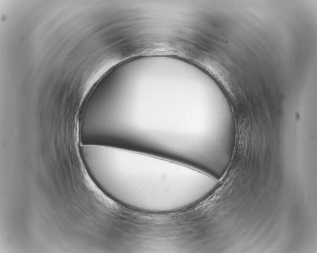 X0000088091476200705111049
