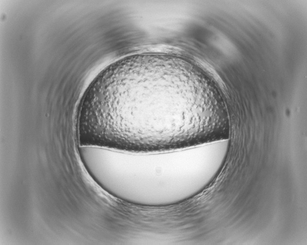 X0000088091483200705111049