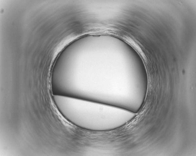 X0000088091485200705111049