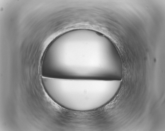 X0000088091527200705111049